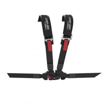 4-Point Harness (driver)